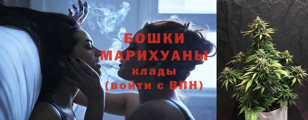 Альфа ПВП Инта