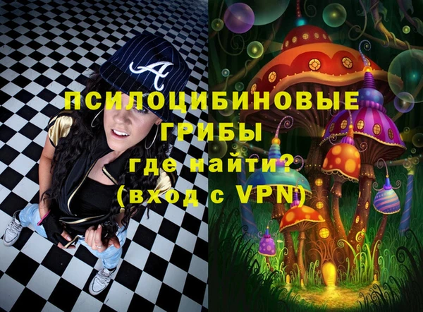 spice Каменка