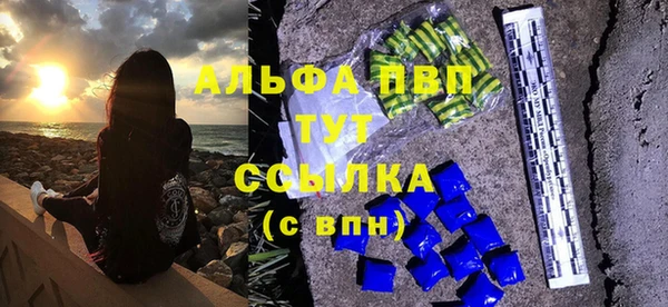 Альфа ПВП Инта