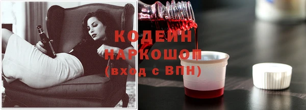 стаф Каменск-Шахтинский