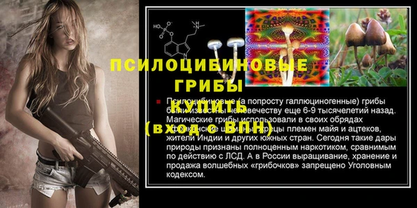 стаф Каменск-Шахтинский