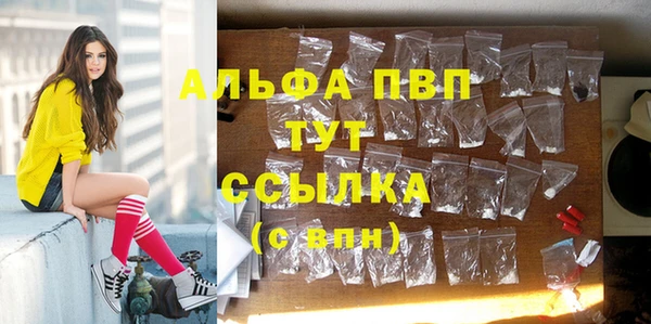 Альфа ПВП Инта