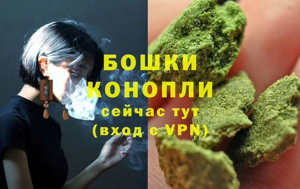 стафф Иннополис