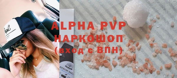 Альфа ПВП Инта