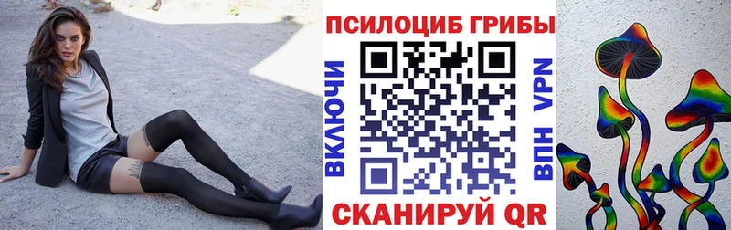 Псилоцибиновые грибы MAGIC MUSHROOMS  где можно купить   Назрань 