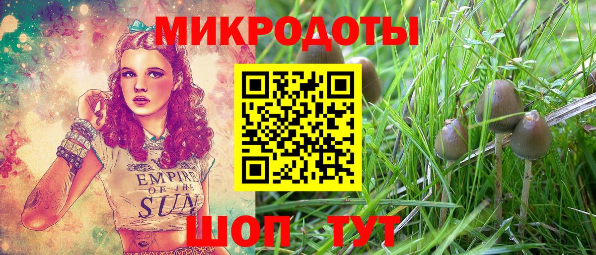 Галлюциногенные грибы Psilocybe  Вход с VPN  Галлюциногенные грибы Cubensis  Назрань 